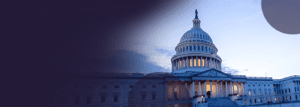 Read more about the article Government
